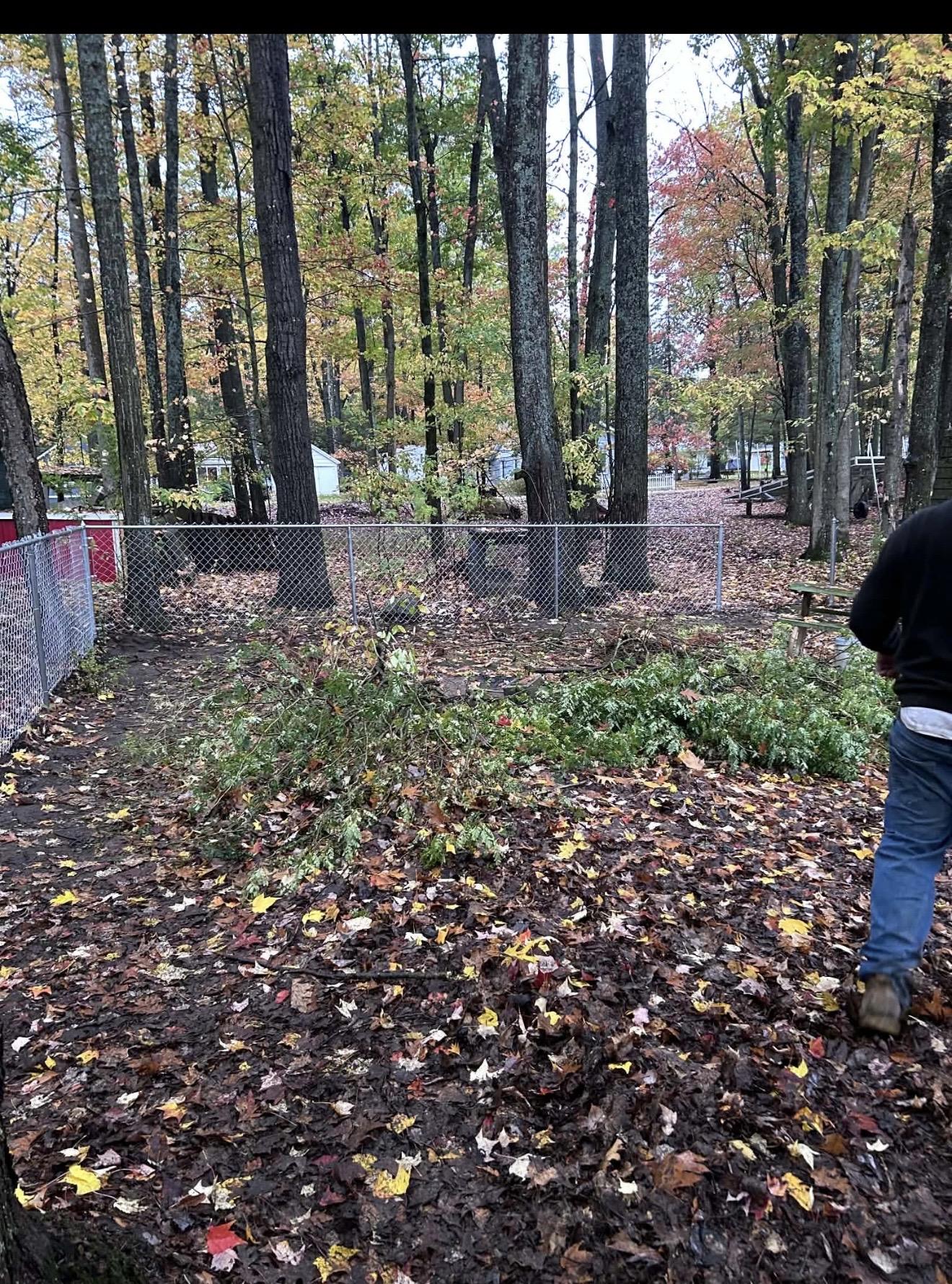Chain-link fence installed around a wooded property